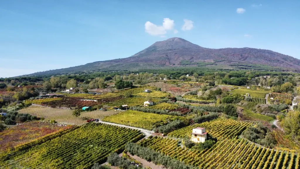 sorrentino-vesuvio-traditional-italian-cooking-and-wine.webp