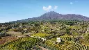 sorrentino-vesuvio-traditional-italian-cooking-and-wine.webp