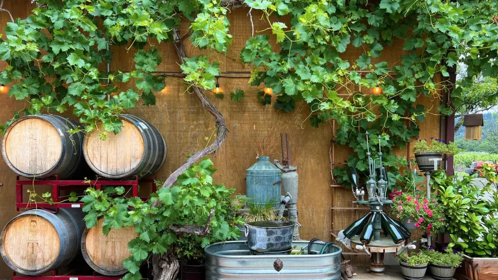 tedeschi-family-winery-napa-winery-experience-california.webp