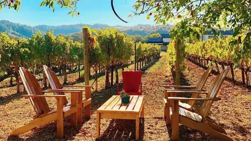 US, Napa Valley, Tedeschi Family Winery - Vineyard & Crushpad Tour
