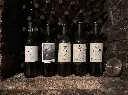 azienda-giovanni-menti-volcanic-wine-experience-veneto.webp