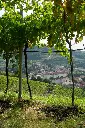 azienda-agricola-giovanni-menti-winery-experience-veneto.webp