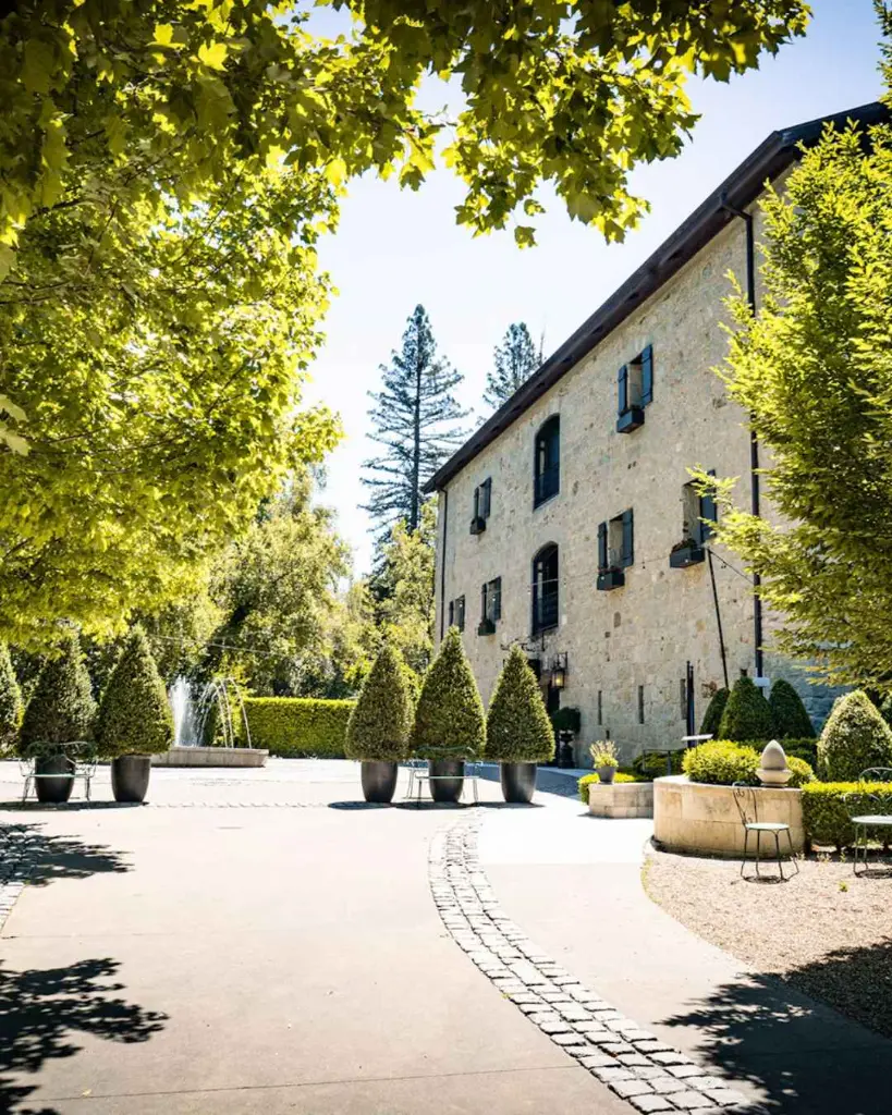 buena-vista-sonoma-winery-barrel-room-experience.webp