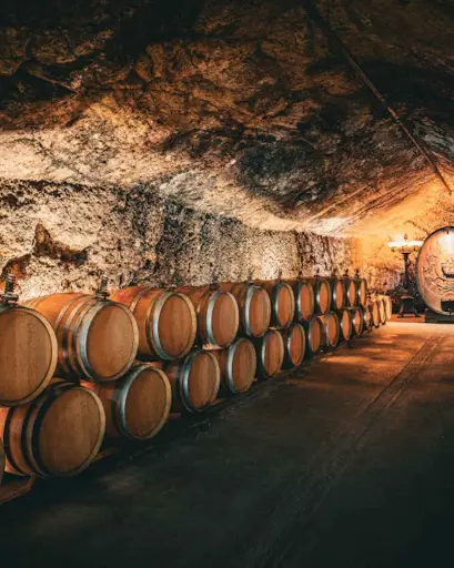 US, Sonoma, Buena Vista Winery - Barrel Tasting and Winery Tour