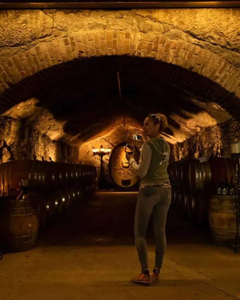 buena-vista-winery-barrel-tasting-experience-sonoma.webp