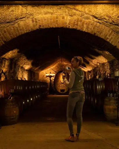 US, Sonoma, Buena Vista Winery - Barrel Tasting and Winery Tour