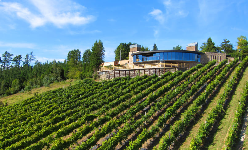 Bodega Berroja - Txakoli, Nature And Landscape 