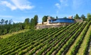 Bodega Berroja - Txakoli, Nature And Landscape 