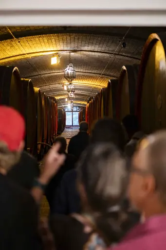 Italy, Tuscany, Vecchia Cantina di Montepulciano - Wine Tour&Tasting Toscana