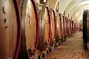 vecchia-cantina-montepulciano-wine-tour-tuscany.webp