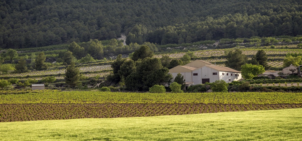 Bodega Balcony - Aceniche Valley in your glass