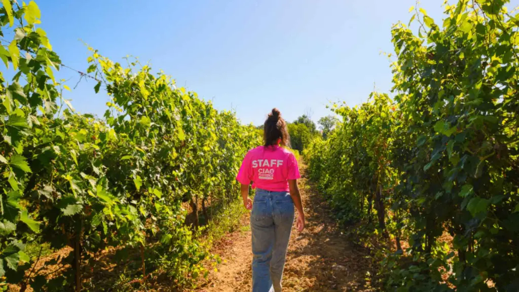 tuscany-ebike-adventure-chianti-wine-tasting-tour.webp