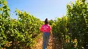 tuscany-ebike-adventure-chianti-wine-tasting-tour.webp