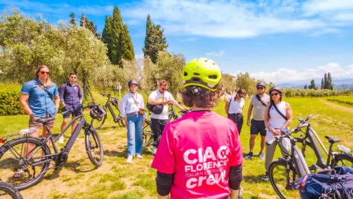 Italy, Tuscany, From Florence - Chianti Hills E-Bike Tour from Florence with Farmhouse Experience including Lunch and Wine Tasting