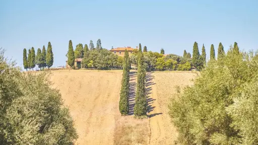 Italy, Lazio, From Rome - Discovering Val D’orcia: Montepulciano & Pienza With Wine And Cheese Tastings From Rome