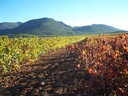 Bodega Balcony - Aceniche Valley in your glass