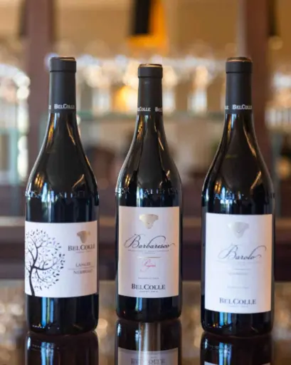 Italy, Piedmont, Bel Colle - Blind Tasting Affair
