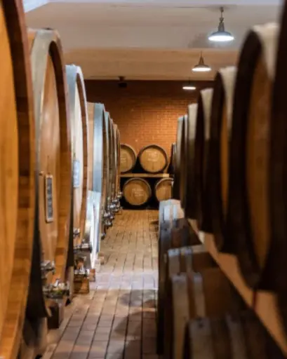 Italy, Piedmont, Bel Colle - Blind Tasting Affair