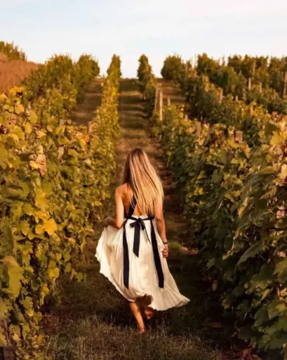 Italy, Piedmont, Bel Colle - Langa Crus