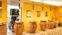 bosco-de-medici-wine-experience-pompei-italy.webp