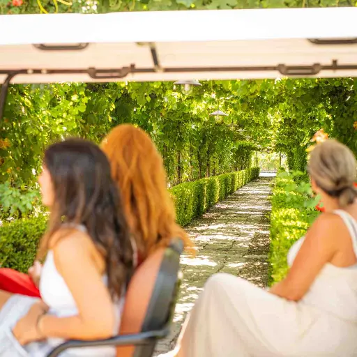 Italy, Campania, Bosco de' Medici Winery - From Vine to Table — A Volcanic Wine & Km0 Lunch Experience in Pompeii