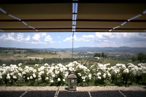 Italy, Umbria, Palazzone - The Sweet Noble Rot