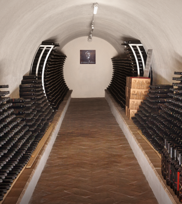 Cantina Giuseppe Sedilesu - Visit to the Winery and tasting of 4 wines