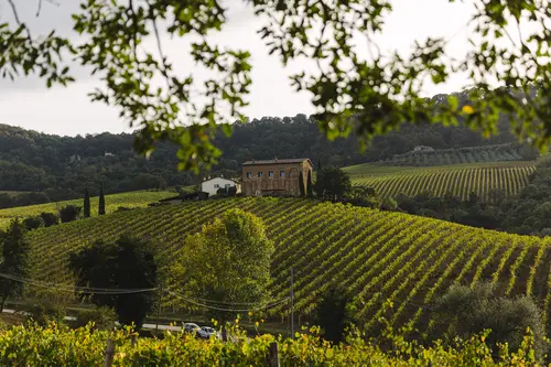 Italy, Umbria, Palazzone - Pilgrim's tour