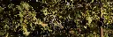 terrazze-dell-etna-sicily-wine-tasting.webp