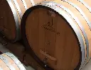 winery-jungic-bosnia-and-hercegovina-wine-tour-cellar.webp