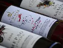 winery-jungic-wines.webp