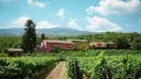 terrazze-dell-etna-winery-sicily-italy.webp