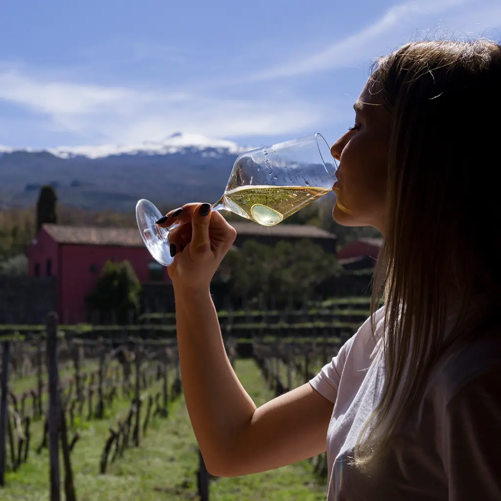 terrazze-dell-etna-wine-experience-sicily.webp