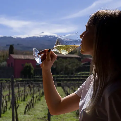 Italy, Sicily, Terrazze dell'Etna - Tradition and Innovation