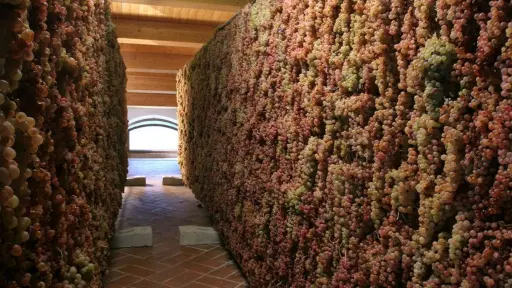 Italy, Tuscany, Vagnoni farm - The wine route