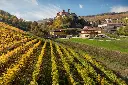 piedmont-italy-barolo-cascina-adelaide.webp
