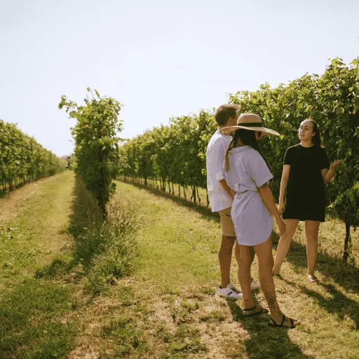 Italy, Veneto, Corte Fornello - Tour e-Bike & Wine Tasting