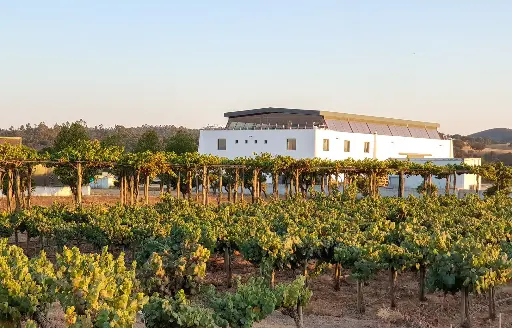 Portugal, Setubal, Herdade Canal Caveira - Reserve