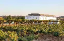 herdade-canal-caveira-winery-experience-portugal-setubal.webp