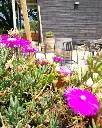 vio-villas-borgunto-wine-and-food-pairing-tuscany-italy.webp
