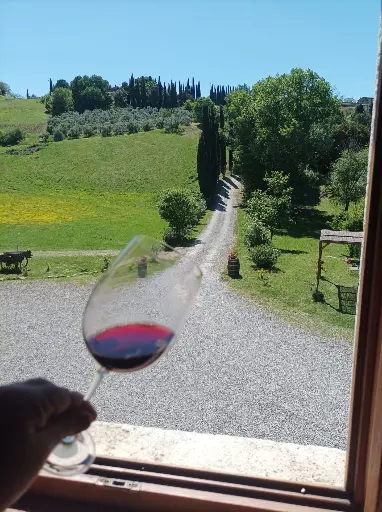 Italy, Tuscany, Tuscany Wine Tour & San Gimignano Experience