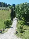 tuscany-private-tour.webp