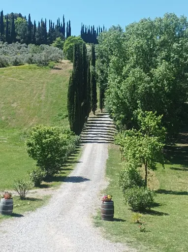 Italy, Tuscany, Tuscany Wine Tour & San Gimignano Experience