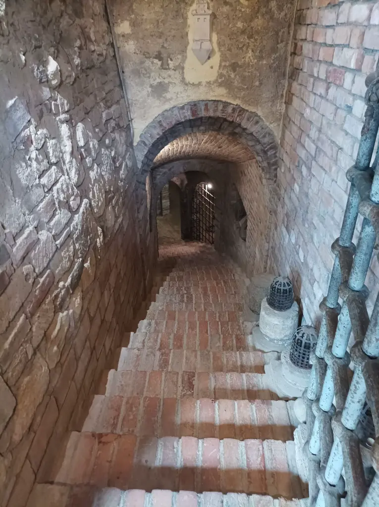 wine-cellar.webp