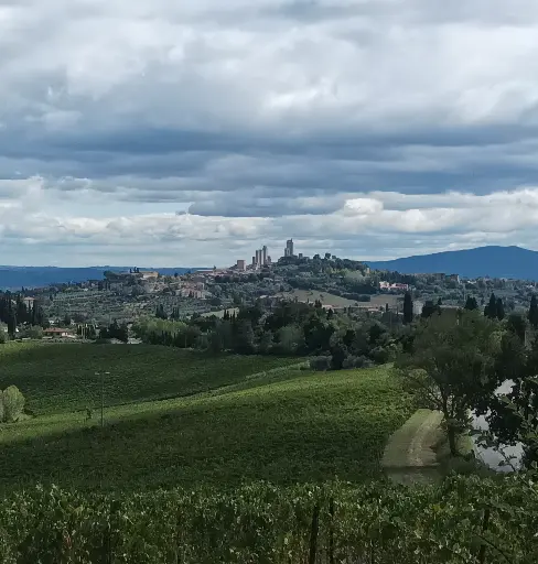 Italy, Tuscany, Tuscany Wine Tour & San Gimignano Experience