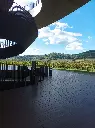 antinori.webp