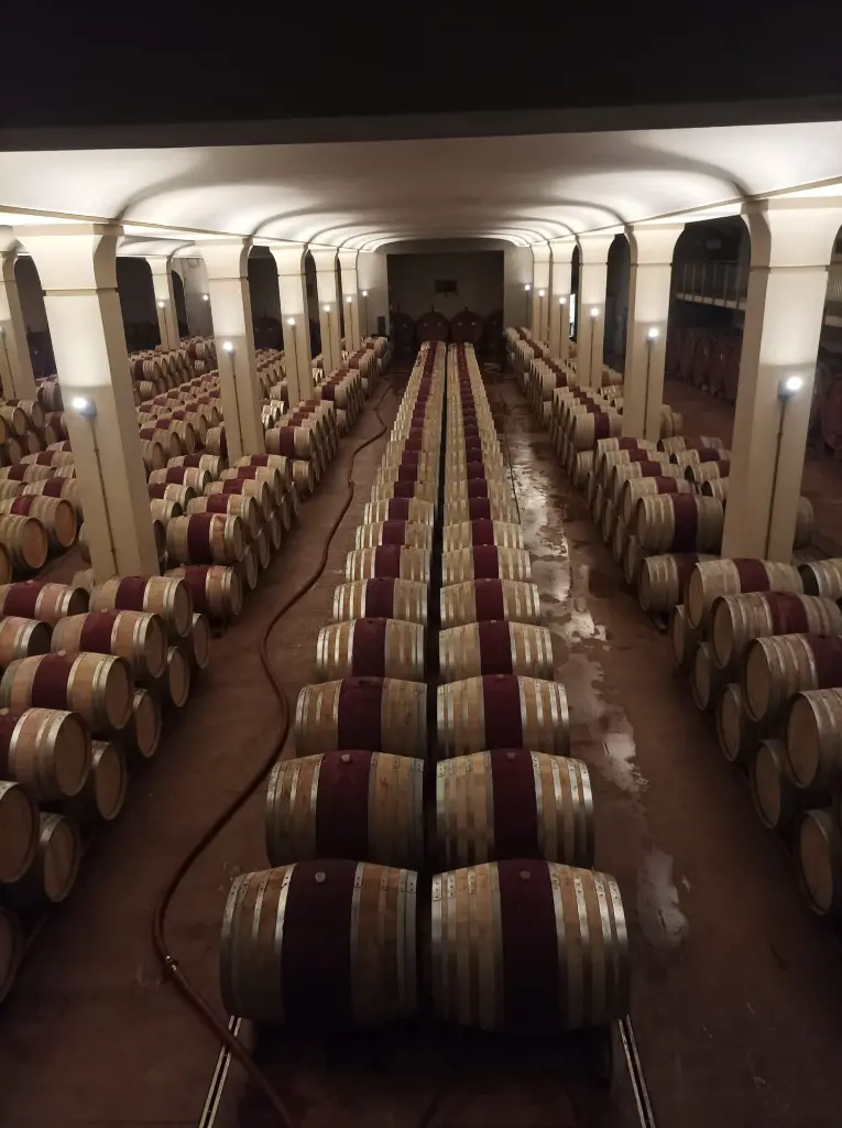 wine-cellar.webp