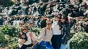 private-tour-driver-napa.webp