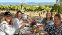 tasting-napa-california.webp