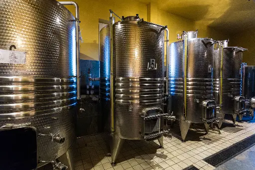 Italy, Lazio, Cantina Le Macchie - Essenza